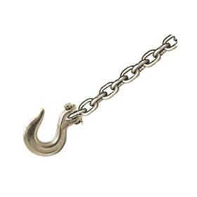 CHAMP® 10-Foot Chain with Clevis Slip Hook 1022