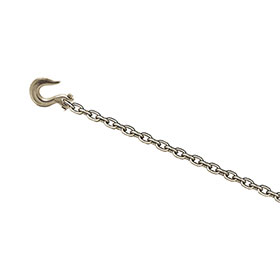 CHAMP® 12-Foot Chain with Clevis Slip Hook 1023