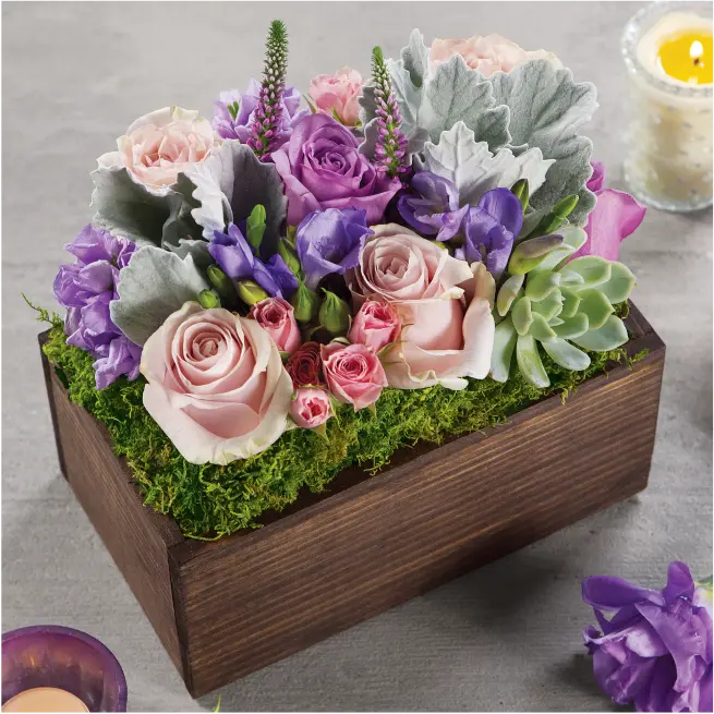 Beauty in Bloom