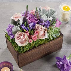 Product Image of Sweet Petite Fleur
